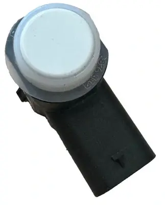 BWS SENSORU S.P.A.S 96890A20001K