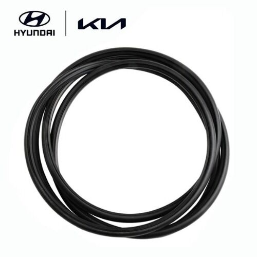 SUNROOF CAM FITILI 816131R000