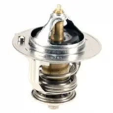 Termostat 2550026100