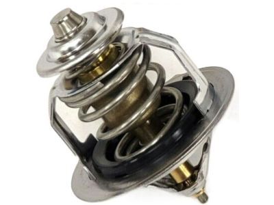 Termostat 2550026100