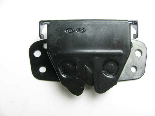 Ön Kaput Kilidi 811303W000