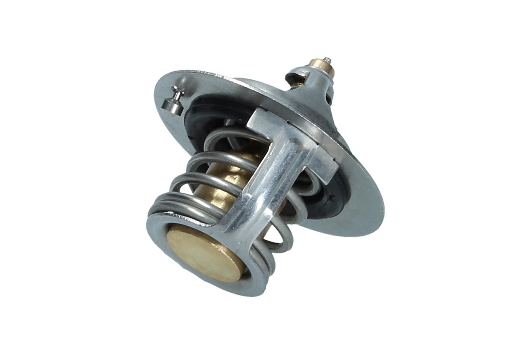 Termostat 255002A000
