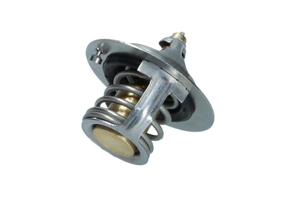 Termostat 255002A000
