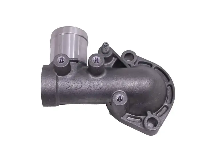 Termostat Kapagı 256132A050