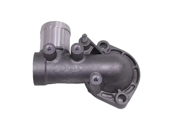 Termostat Kapagı 256132A050
