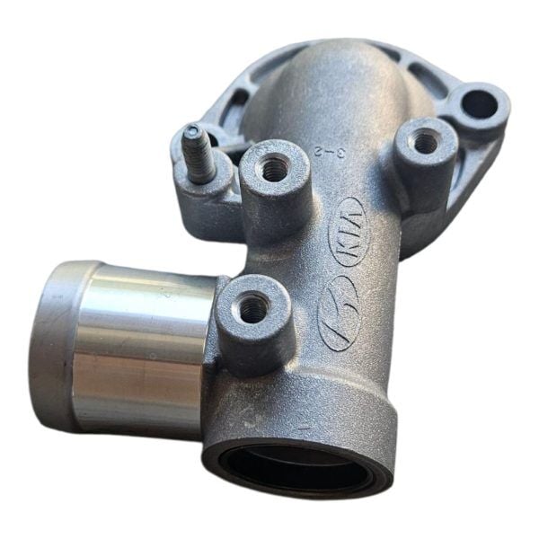 Termostat Kapagı 256132A050