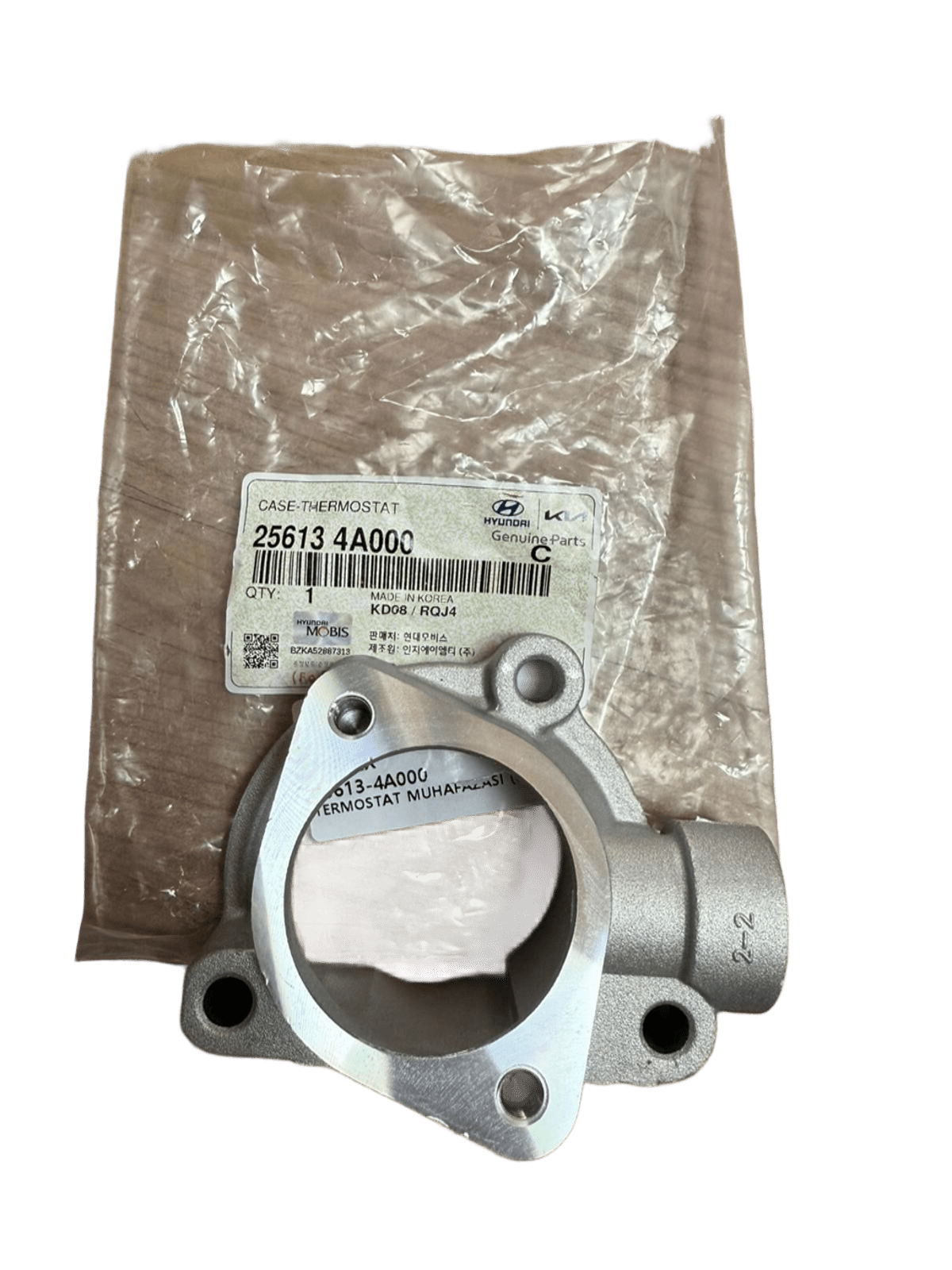 Termostat Yuvası 256134A000