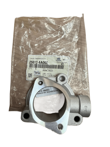 Termostat Yuvası 256134A000