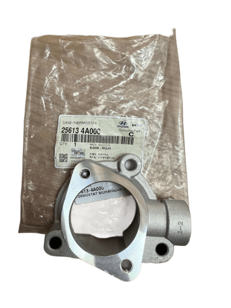 Termostat Yuvası 256134A000