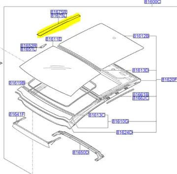 KENAR BAK.PANORAMAROOF SOL 81675A2001