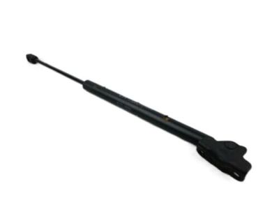 Bagaj Kaput Amortisöru Sol 817703W000