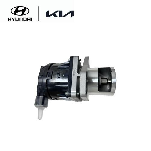 Valf Egr 284104A110