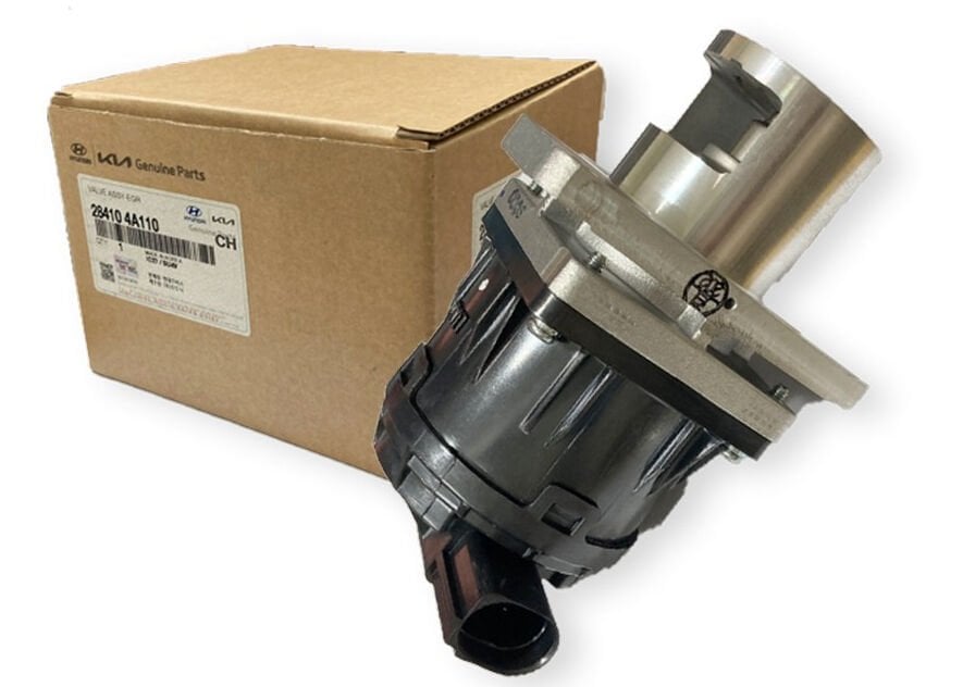 Valf Egr 284104A110