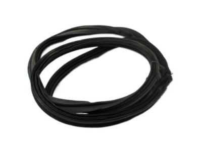 Bagaj Kaput Fıtılıı N/B 873211G000