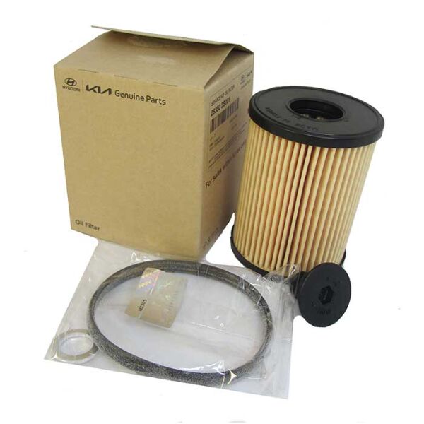 Yag Fıltre 263502S001