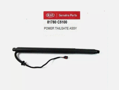 POWER TAIL GATE ASSY,RH 81780C5100