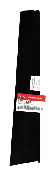 Arka Kapı On Sol Sıyah Band 86381A2000