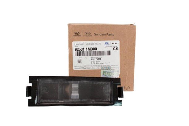 PLAKA LAMBASI 925011M300