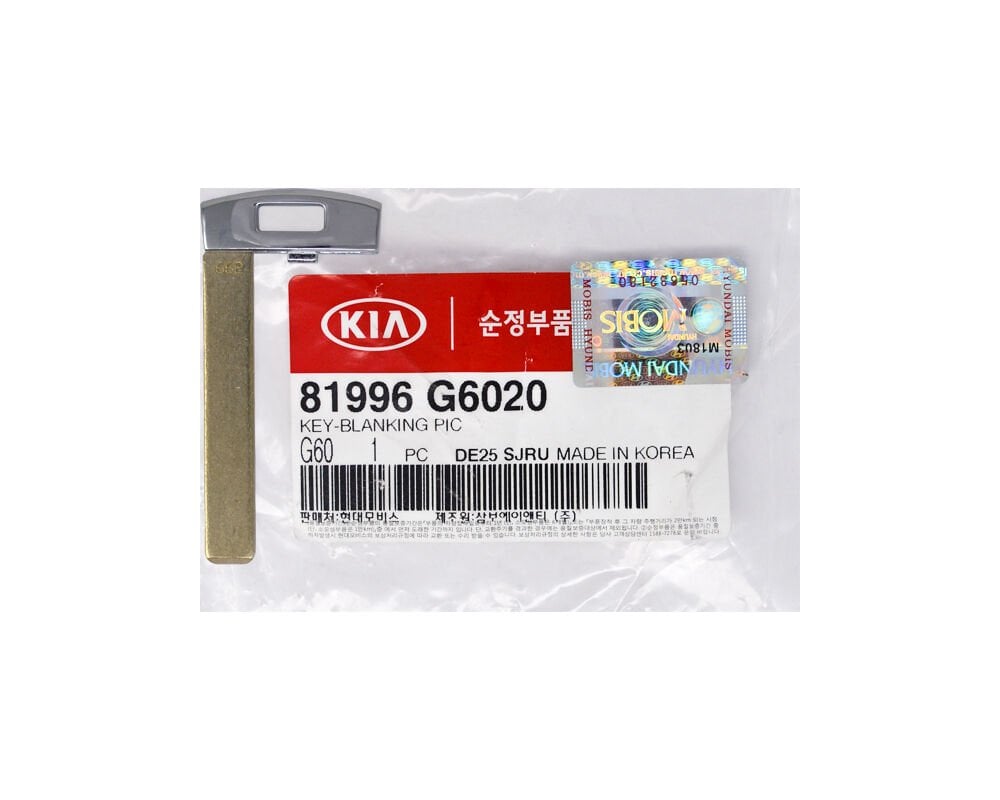 Ham Anahtar 81996G6020