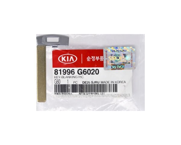Ham Anahtar 81996G6020