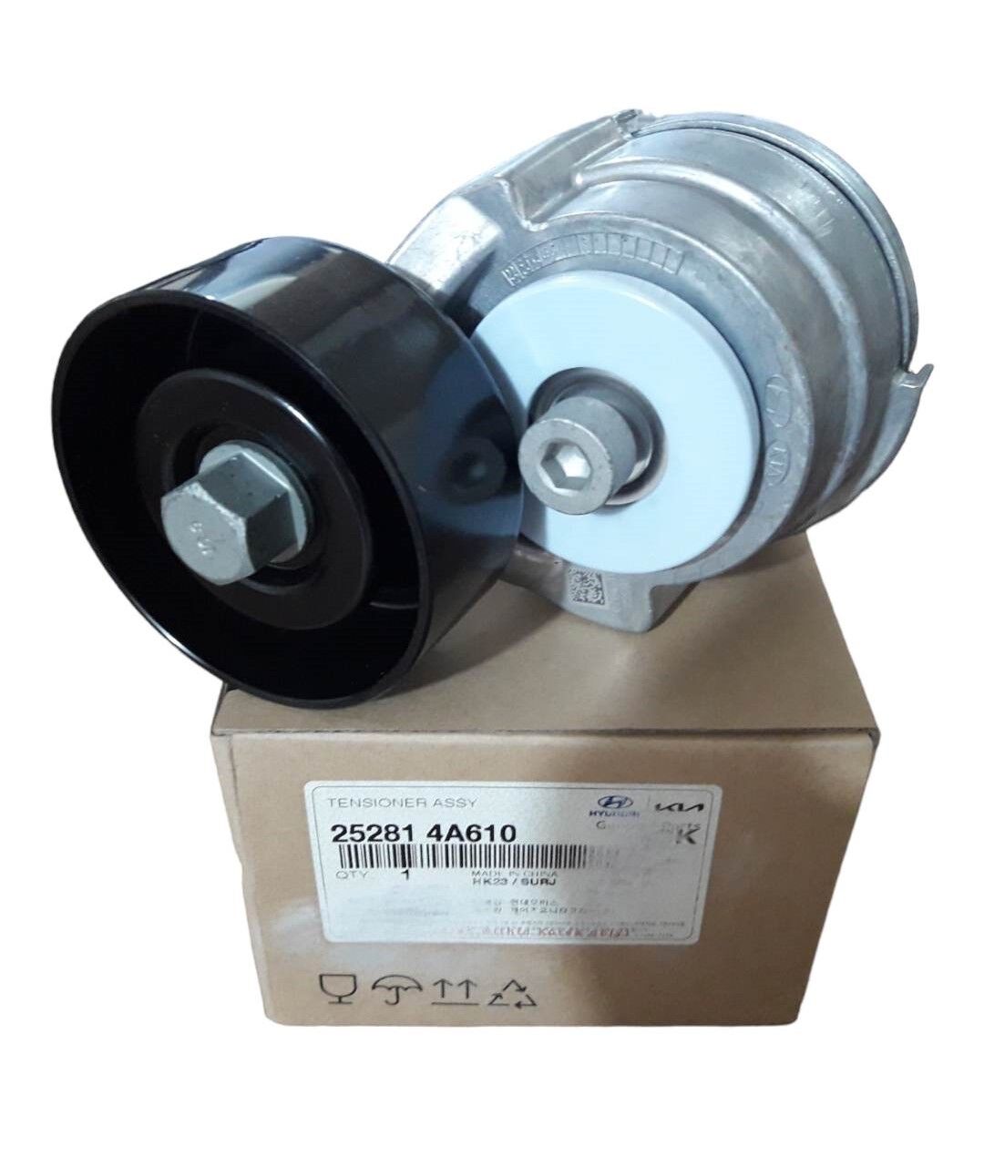 Eksantrık Gergı Yatagı 252814A610