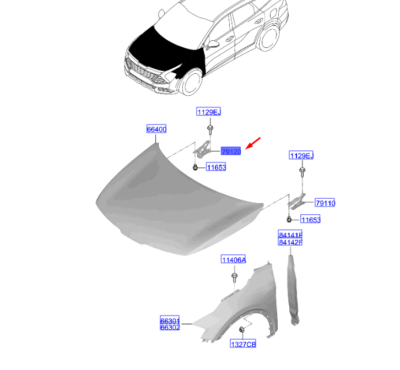 Ön Kaput Menteşesi Sağ 66920P1000