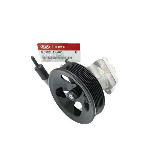 Hıdrolık Dıreksıyon Pomp 571004E061