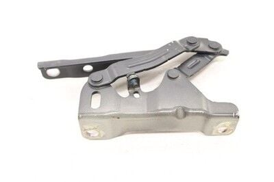 Ön Kaput Menteşesi Sol 66910P1000