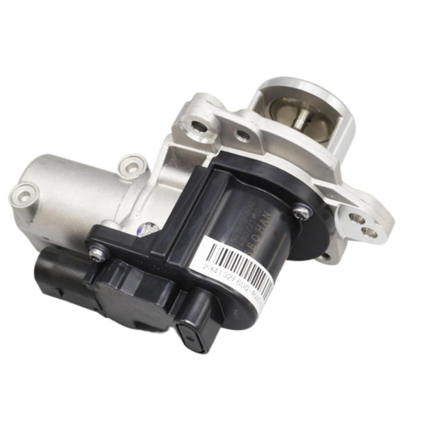 Egr Valfi 284102F600