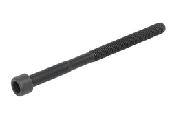 Stonic Silindir Kapak Civatası 2232104010