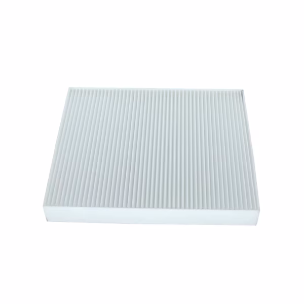 Polen Fıltresı 97133C5000