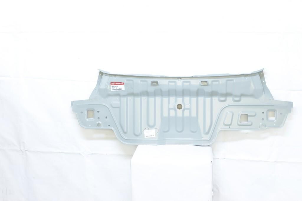 Arka Panel 691001G210