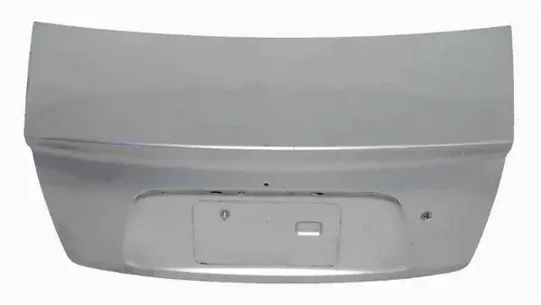 Bagaj Kapagı 692002F581