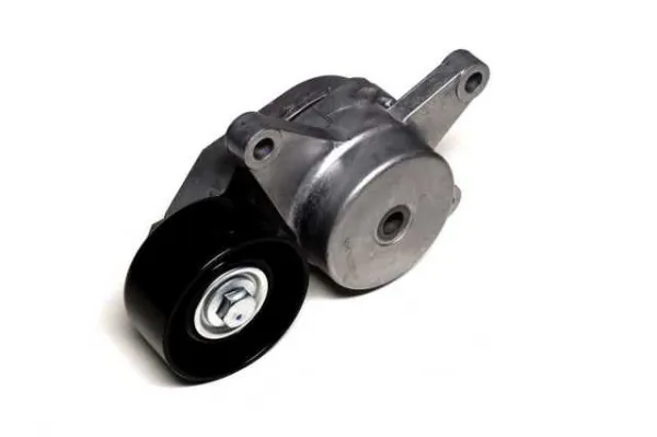 Picanto Eksantrık Gergı Yatagı 2528104600