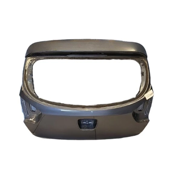 RİO Bagaj Kapak 737001W220