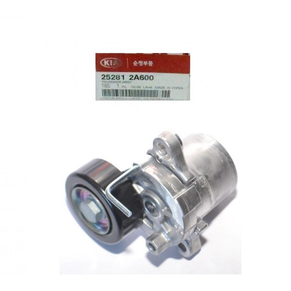 RİO V Kayıs Gergisi 252812A600