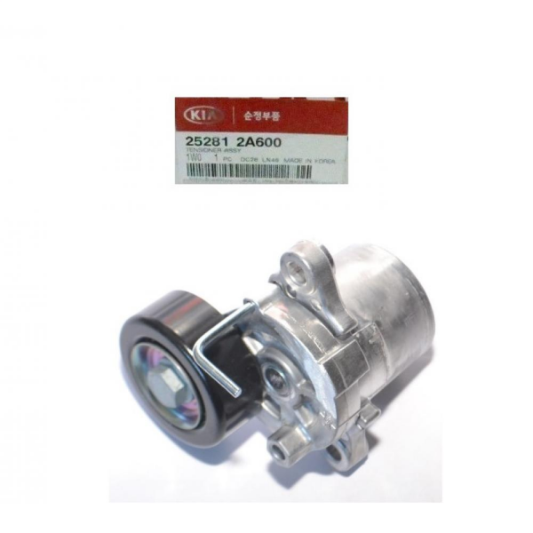 RİO V Kayıs Gergisi 252812A600