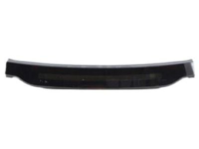 Sunroof On Cam Panelı 816103W000
