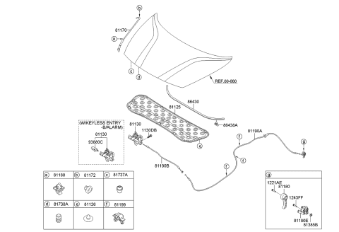 Motor Kaput Stoplama Lastıgı 817372E000