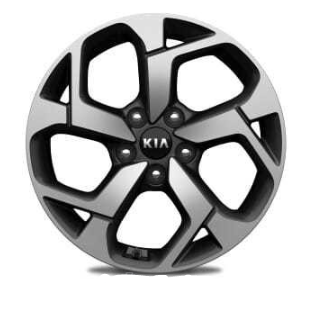 Jant 52910F1210