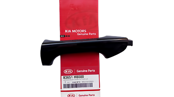 Stonic Arka Kapı Kolu Sol 83651H8000