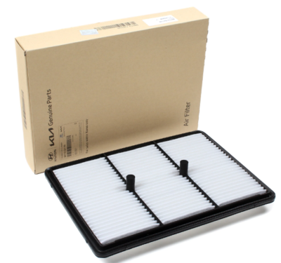 HAVA FILTRE ELEMANI 28113G2100