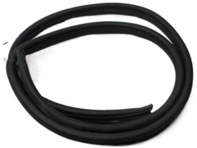 Arka Kapı Govde Fıtılı Sag 831201W200
