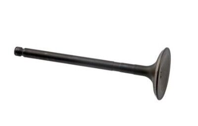 VALF-EGZOZ 2221207070