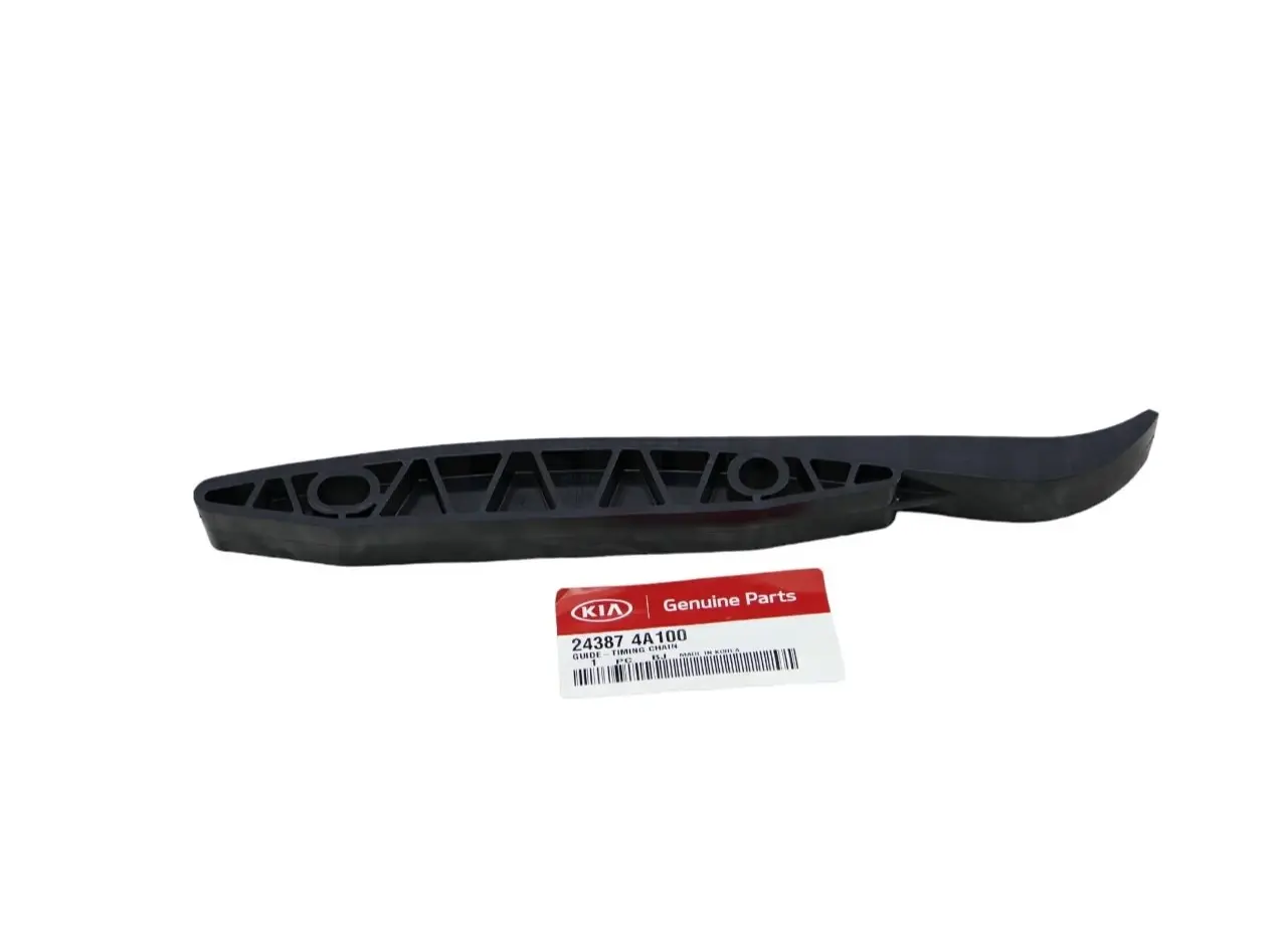 Eksantrık Zıncır Gaydı 243874A100