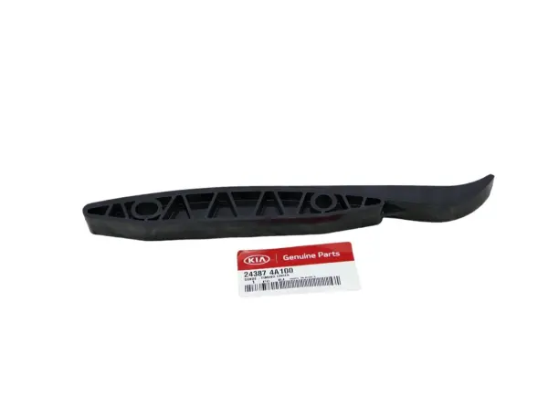 Eksantrık Zıncır Gaydı 243874A100