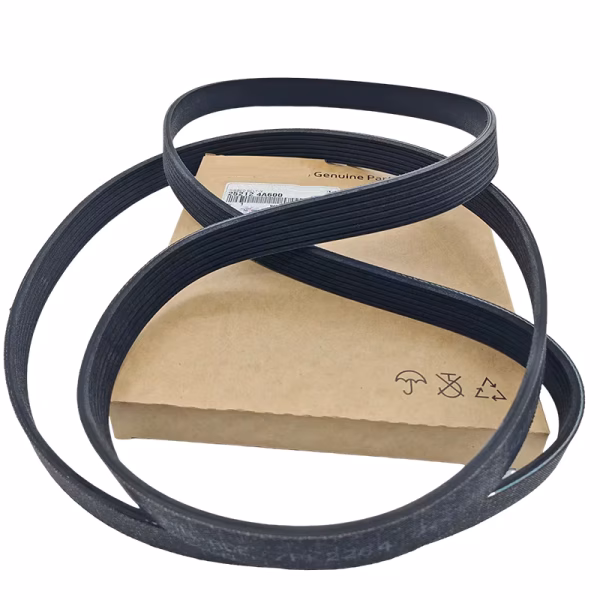 V-Kayısı 252124A600