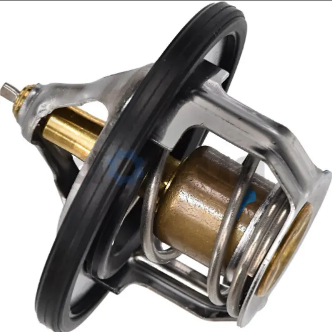 Termostat 255002A050