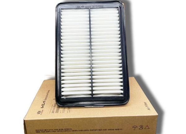 Ceed Hava Filtresi 28113F2000