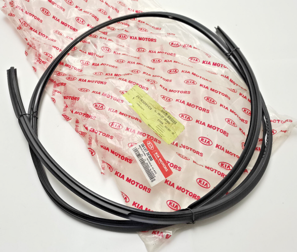 ON CAM CITASI 861373E000